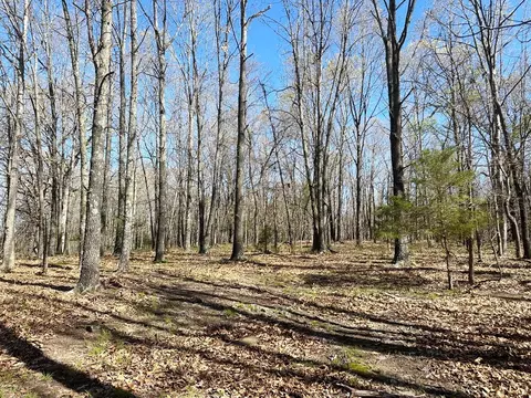 000 SE 1150 Rd, Collins, MO 64738 photo 22