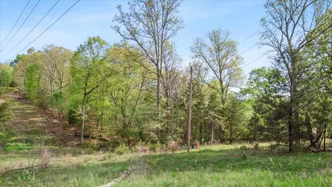 250 Vin Villa, Forsyth, MO 65653 photo 4