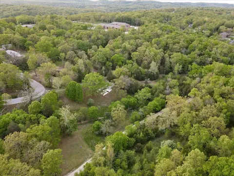 250 Vin Villa, Forsyth, MO 65653 photo 16