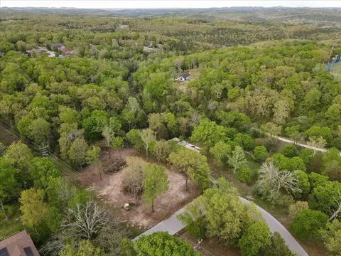 250 Vin Villa, Forsyth, MO 65653 photo 9