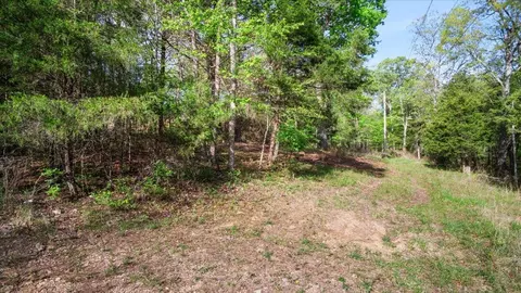 250 Vin Villa, Forsyth, MO 65653 photo 3