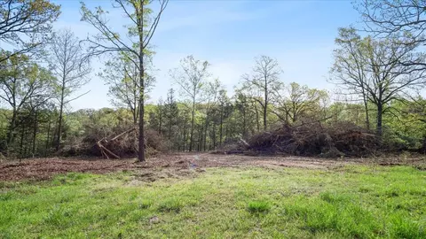 250 Vin Villa, Forsyth, MO 65653 photo 2