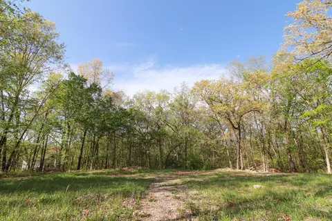 779 State Highway 32, Buffalo, MO 65622 photo 5