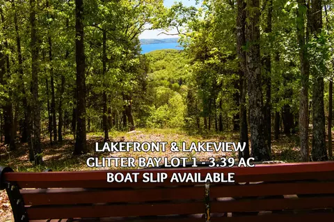 lot1 Waterfield Dr, Branson West, MO 65737