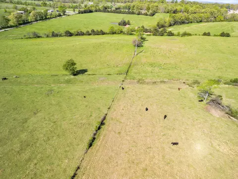 000 County Road 372, Dora, MO 65637 photo 29