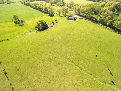 000 County Road 372, Dora, MO 65637 photo 7