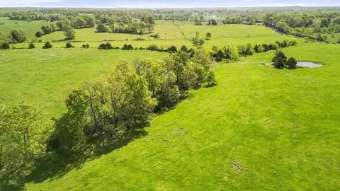 000 County Road 372, Dora, MO 65637 photo 27