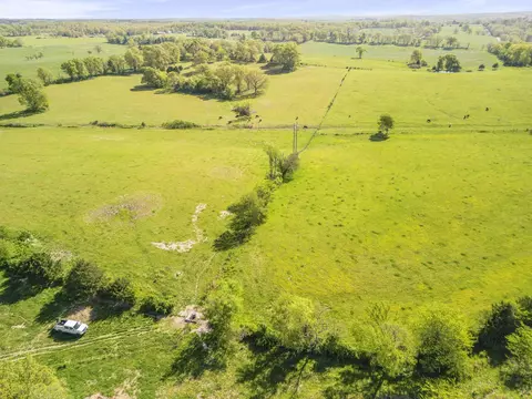 000 County Road 372, Dora, MO 65637 photo 19