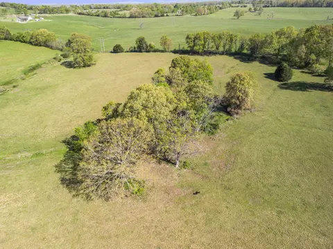 000 County Road 372, Dora, MO 65637 photo 30