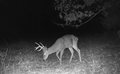 000 County Road 372, Dora, MO 65637 photo 2
