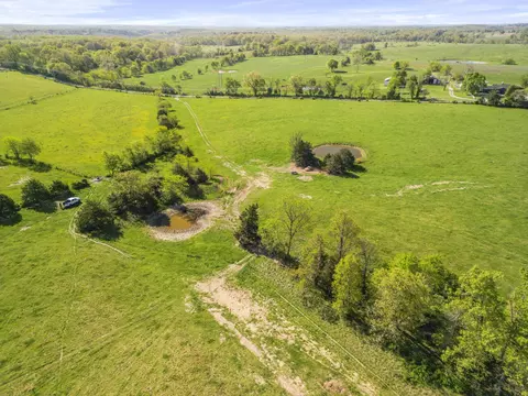 000 County Road 372, Dora, MO 65637 photo 17