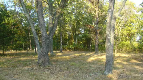 21397 Howell Rd, Mountain View, MO 65548 photo 1
