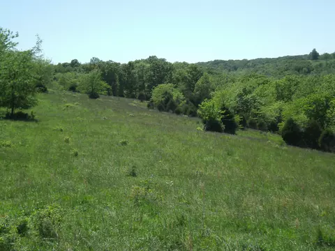 000 Reno Hollow Rd, Spokane, MO 65754 photo 8