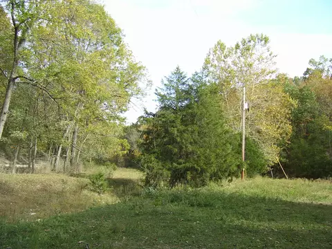 000 Reno Hollow Rd, Spokane, MO 65754 photo 9