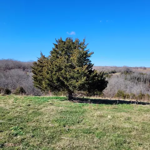 000 Reno Hollow Rd, Spokane, MO 65754 photo 4