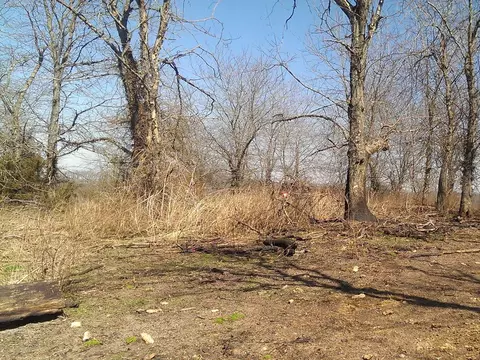 000 Reno Hollow Rd, Spokane, MO 65754 photo 16