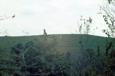 000 Reno Hollow Rd, Spokane, MO 65754 photo 12