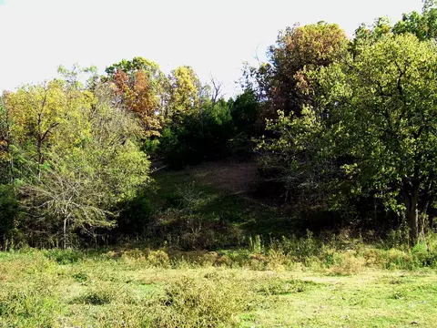000 Reno Hollow Rd, Spokane, MO 65754 photo 3
