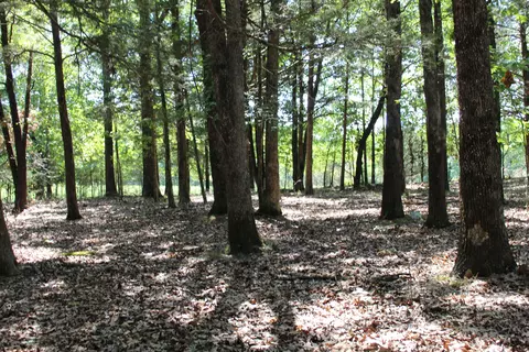 000 Eagle Ridge Rd #LOT 32 & 33, Protem, MO 65733 photo 19
