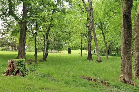 2004 S 22nd Ave, Ozark, MO 65721 photo 54