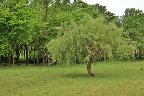 2004 S 22nd Ave, Ozark, MO 65721 photo 51