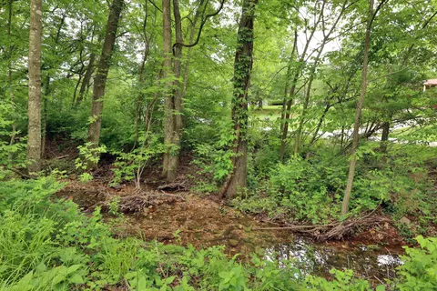 2004 S 22nd Ave, Ozark, MO 65721 photo 57
