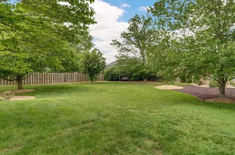 1603 E Highview Dr, Ozark, MO 65721 photo 4