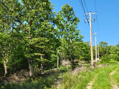 175 Schaefer Dr, Branson, MO 65616 photo 1