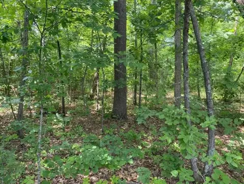 000 County Rd 14-335, Ava, MO 65608 photo 2