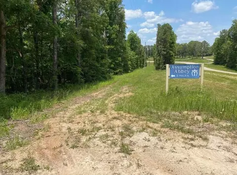 000 County Rd 14-335, Ava, MO 65608 photo 4