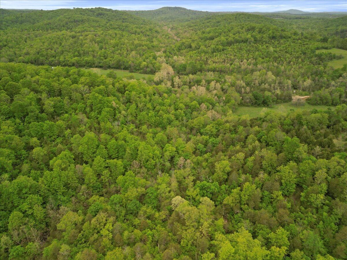 000 County Road 527 Unit 3  
