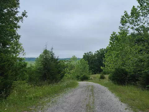83 84 Niangua Rnch, Marshfield, MO 65706 photo 5