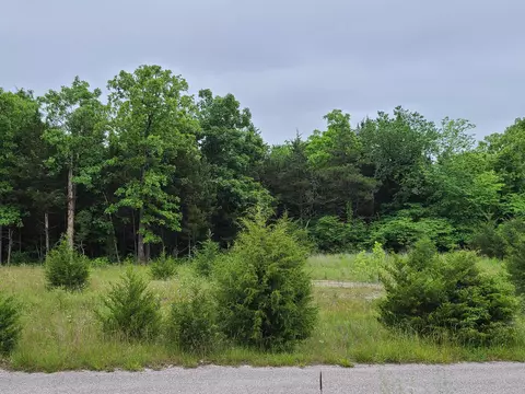 83 84 Niangua Rnch, Marshfield, MO 65706 photo 6