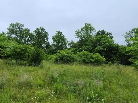 83 84 Niangua Rnch, Marshfield, MO 65706 photo 8