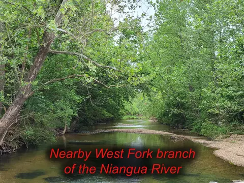 83 84 Niangua Rnch, Marshfield, MO 65706 photo 4