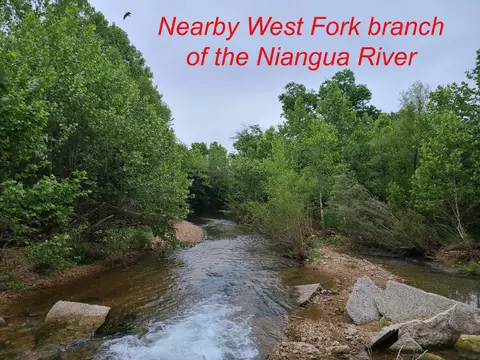 83 84 Niangua Rnch, Marshfield, MO 65706 photo 9