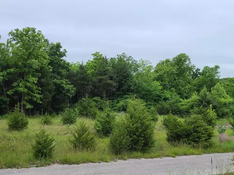 83 84 Niangua Rnch, Marshfield, MO 65706 photo 7
