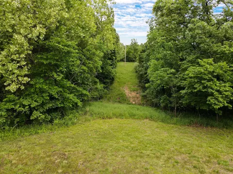 000 Plumtree Dr, Ozark, MO 65721 photo 11