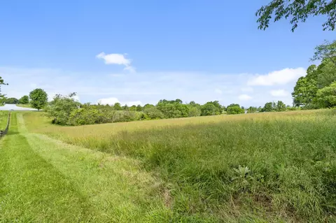 000 Spring Branch Rd, Ozark, MO 65721 photo 2