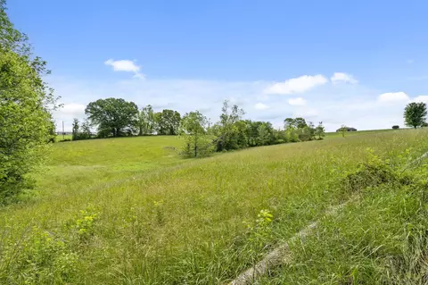 000 Spring Branch Rd, Ozark, MO 65721 photo 5