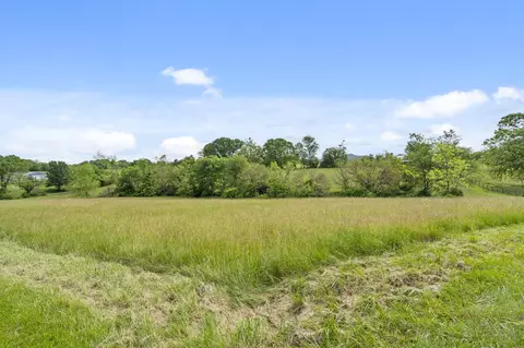 000 Spring Branch Rd, Ozark, MO 65721 photo 4
