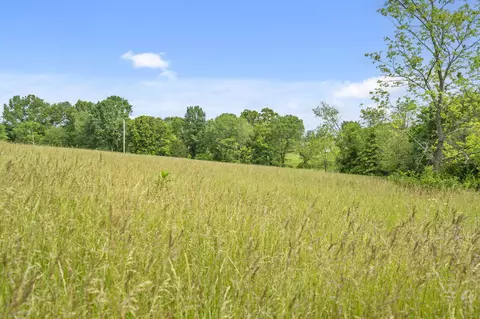 000 Spring Branch Rd, Ozark, MO 65721 photo 3