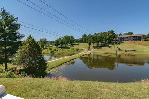 41 Scenic Ct #1, Branson, MO 65616 photo 23