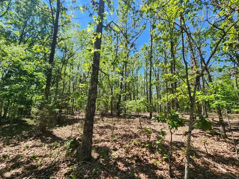 000 County Road 3330, Mountain View, MO 65548 photo 14