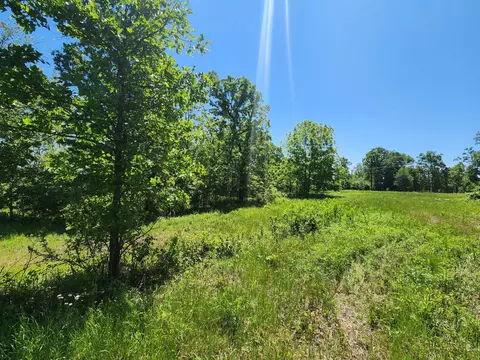 000 County Road 3330, Mountain View, MO 65548 photo 8