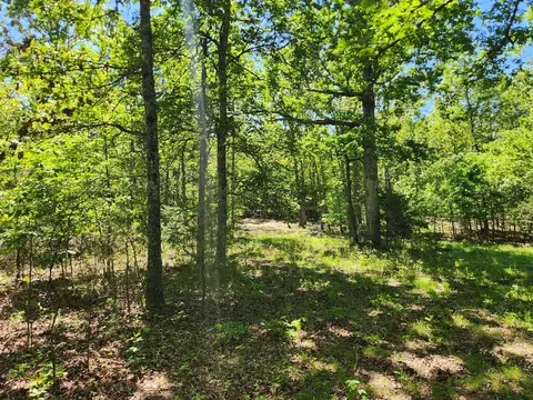 000 County Road 3330, Mountain View, MO 65548 photo 19