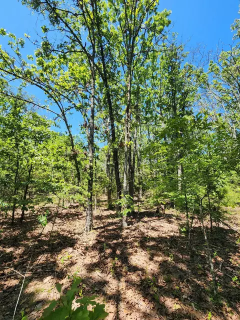 000 County Road 3330, Mountain View, MO 65548 photo 13