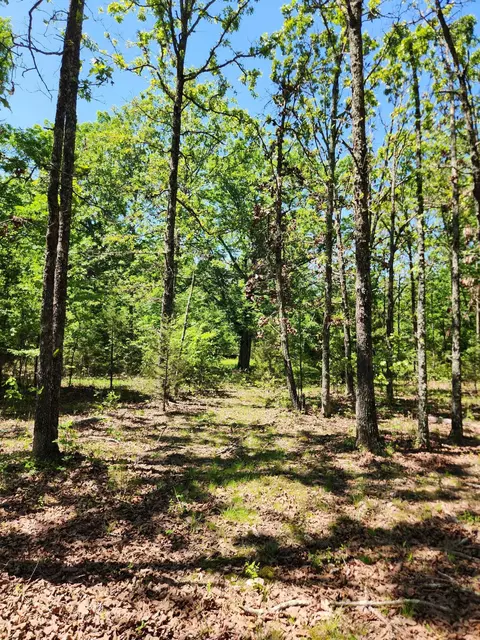 000 County Road 3330, Mountain View, MO 65548 photo 16