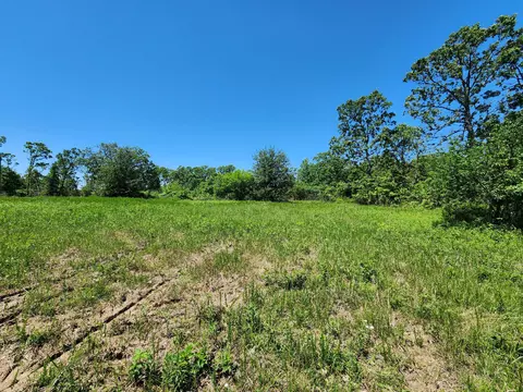 000 County Road 3330, Mountain View, MO 65548 photo 5