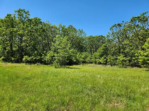 000 County Road 3330, Mountain View, MO 65548 photo 3